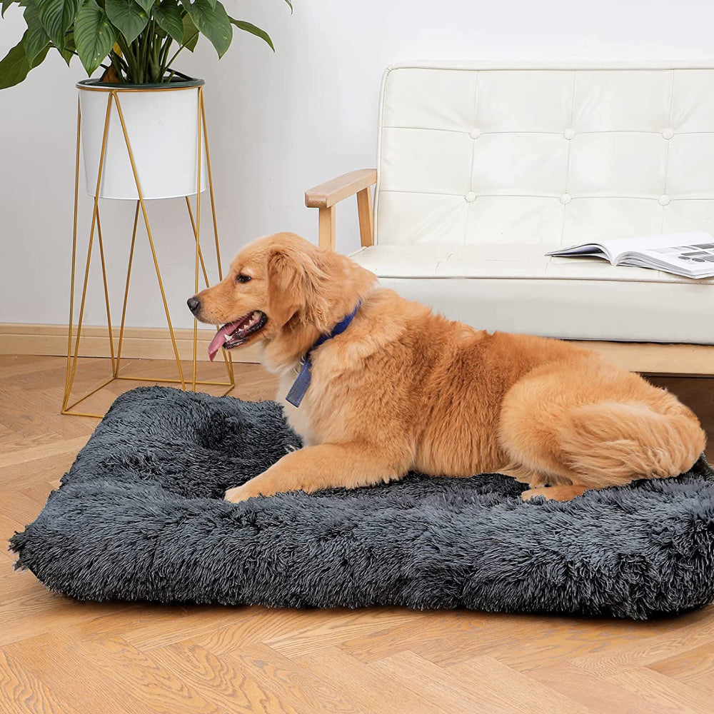 PETSWOL Plush and Cozy Pet Mat for Ultimate Comfort and Warmth_5