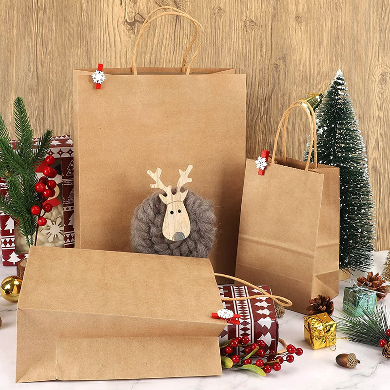 Brown Kraft Paper Bags with Handle for Gifts and Souvenirs Recycled Carrying Bags_13