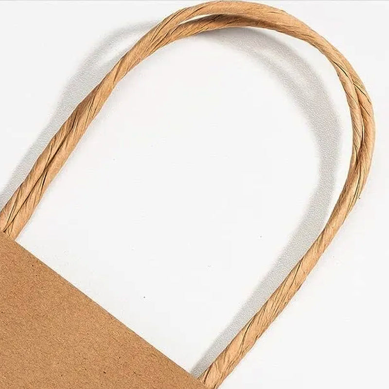 Brown Kraft Paper Bags with Handle for Gifts and Souvenirs Recycled Carrying Bags_3