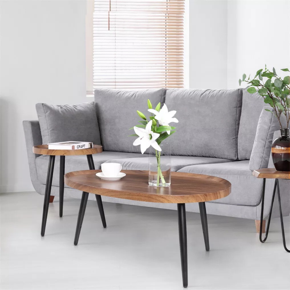 Modern Irregular Drop-shaped Coffee Table Set_10