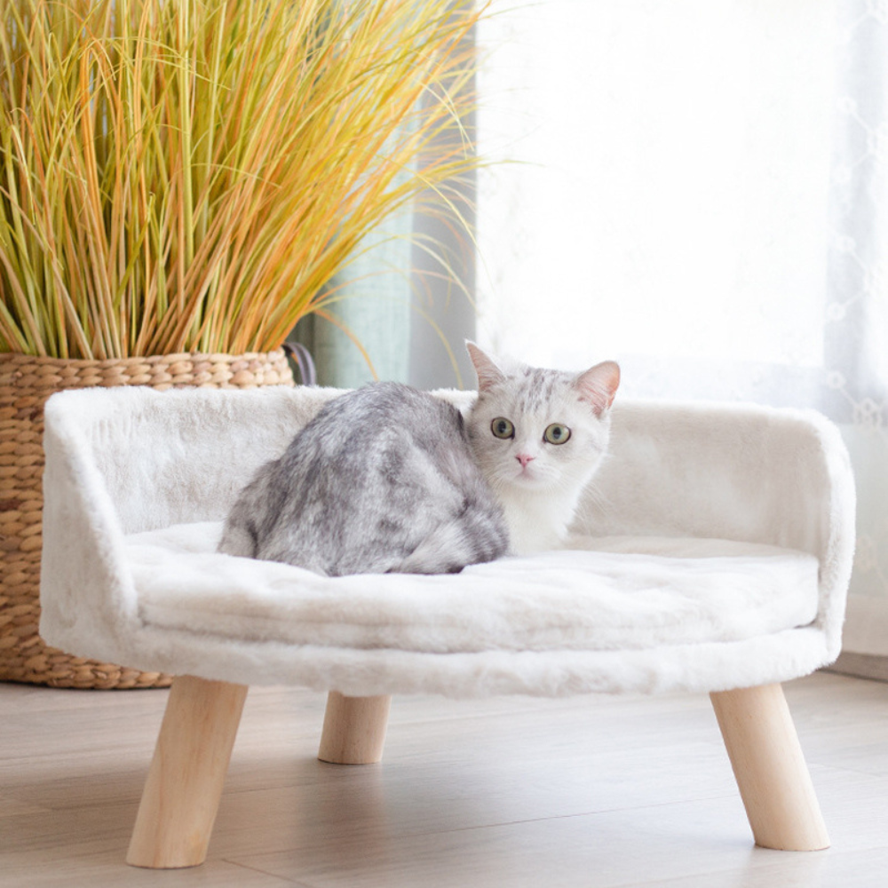 Plush Luxury Cat Bed with Cozy Cushion Pad_3