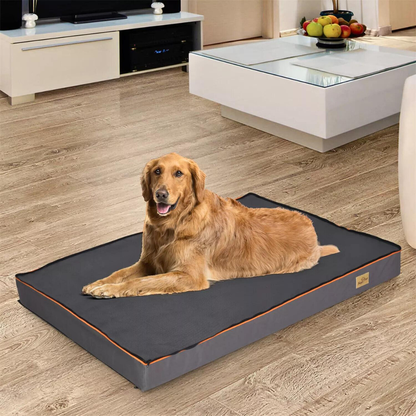 Orthopedic Dog Bed - Large, Padded and Washable for Optimal Comfort_0