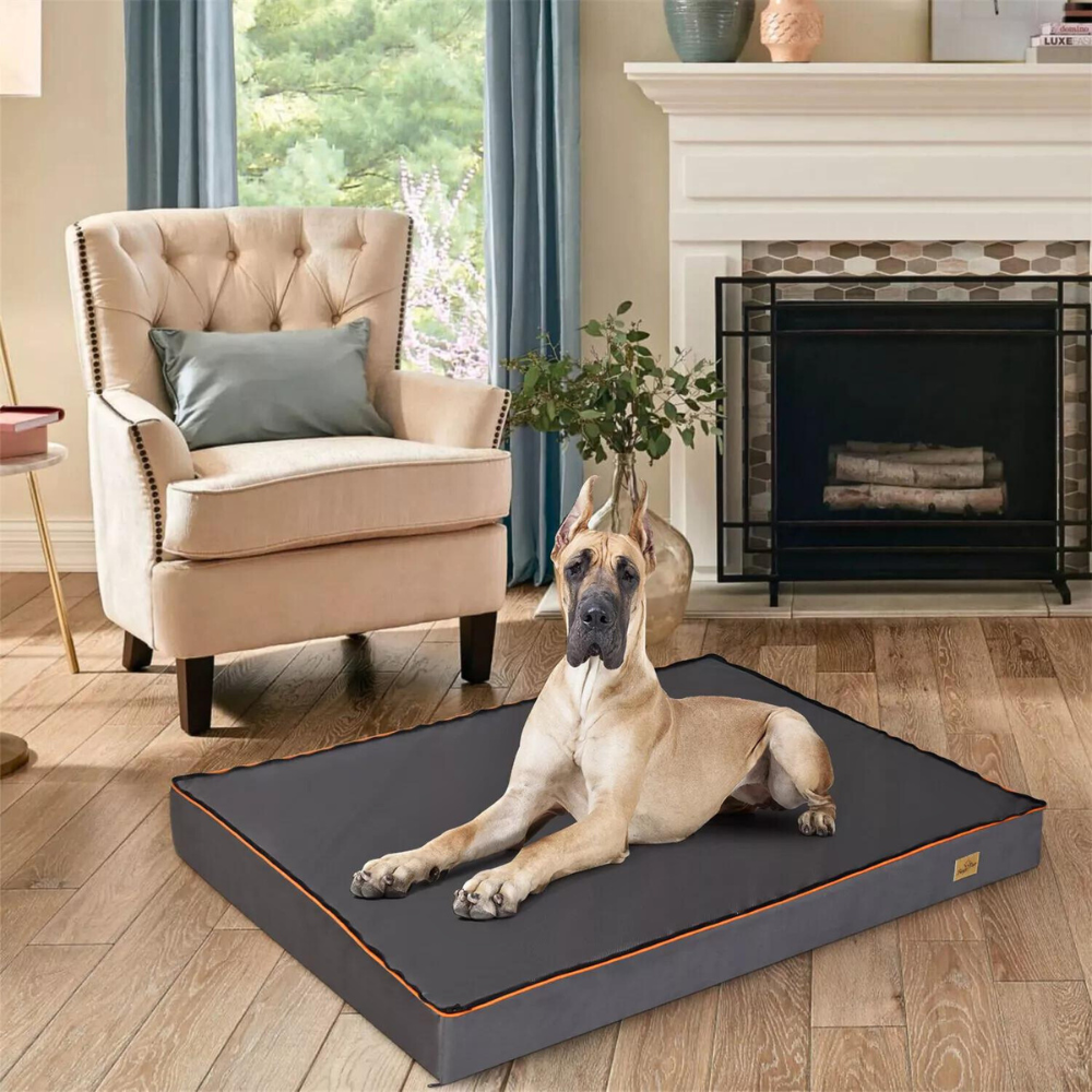 Orthopedic Dog Bed - Large, Padded and Washable for Optimal Comfort_3