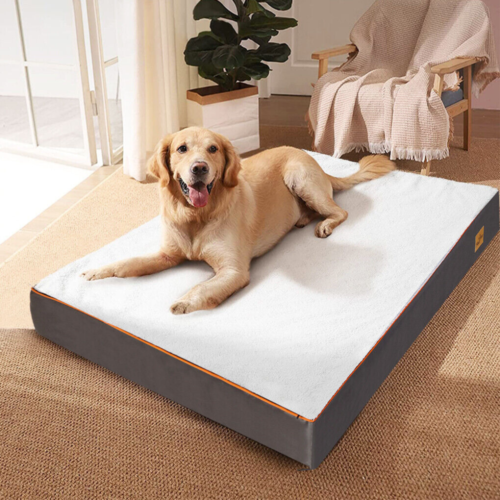 Gray Orthopedic Pet Calming Bed Soft Sponge Foam Base with Removable Cover_3