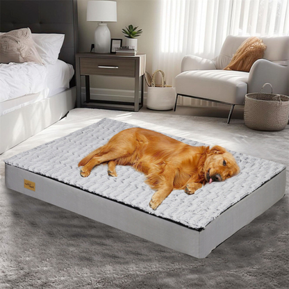 Gray Orthopedic Pet Calming Bed Soft Sponge Foam Base with Removable Cover_0