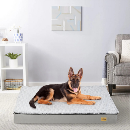 Gray Orthopedic Pet Calming Bed Soft Sponge Foam Base with Removable Cover_2