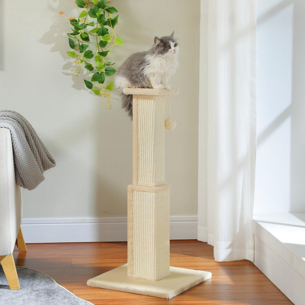 80CM Cat Scratching Post for Indoor Cat Scratcher with Nature Sisal Ball_5