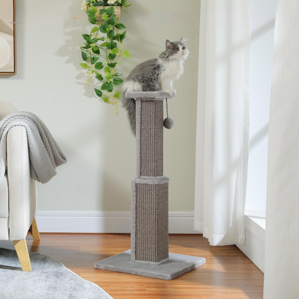 80CM Cat Scratching Post for Indoor Cat Scratcher with Nature Sisal Ball_4