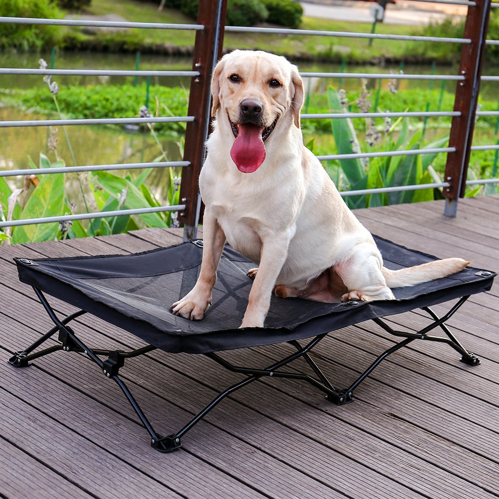 Large Elevated Folding Pet Bed_1