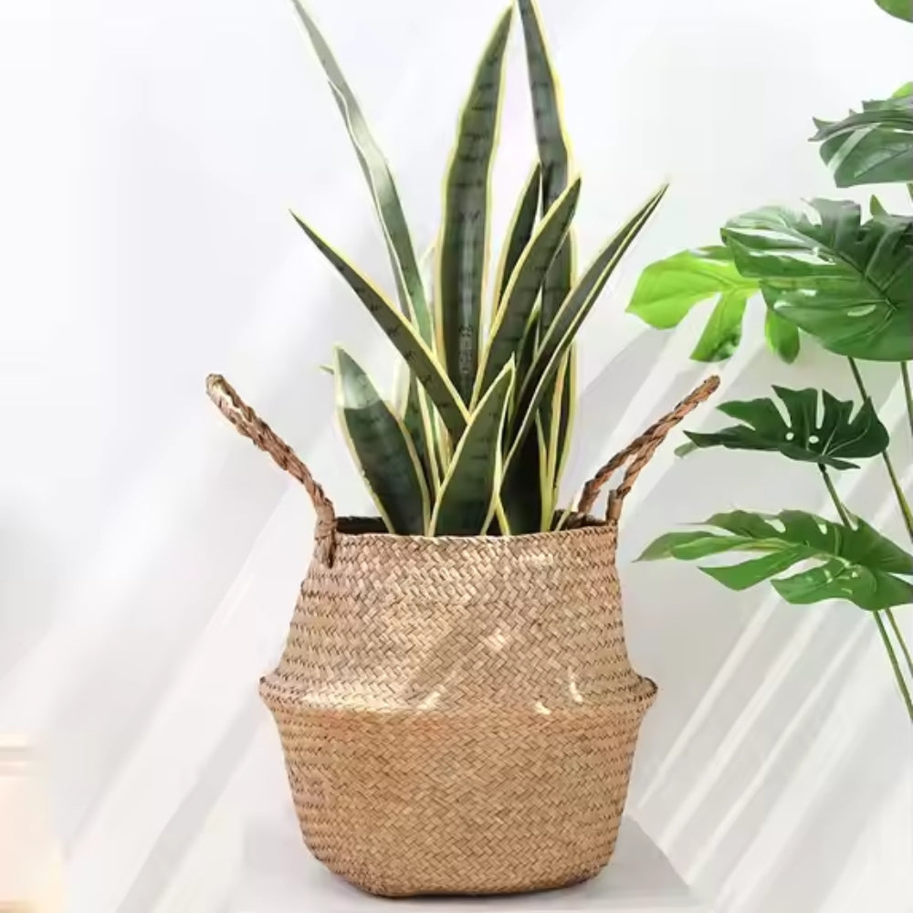 Nordic Style Seaweed Wicker Basket for Home Storage_3