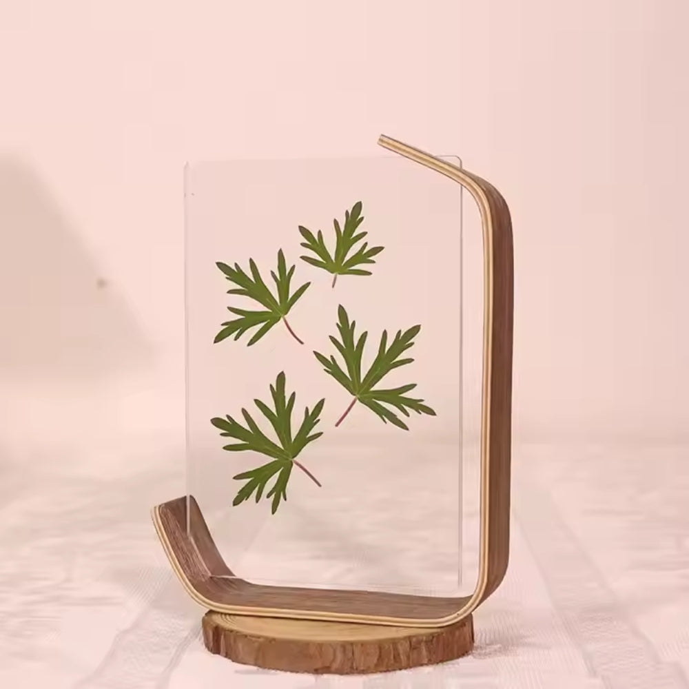 Wooden Picture Frame Swing Table DIY Transparent Herbarium Display Frame_5